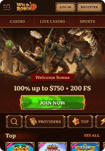 Wild Robin casino screen main page