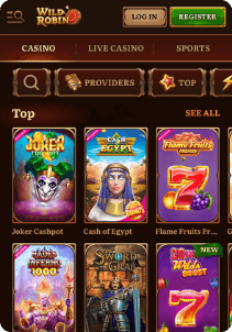 Wild Robin casino screen slots games