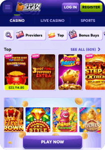 spinbara screen 4