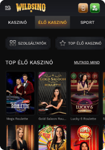 Wildsino Casino mobile screen live games