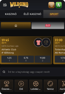 Wildsino Casino mobile screen sports